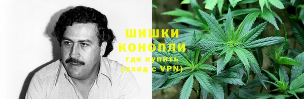 соль ск Новокубанск