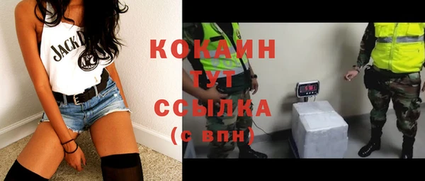 дмт Абаза