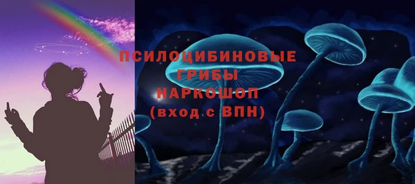 дмт Абаза