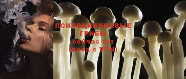 mix Новодвинск