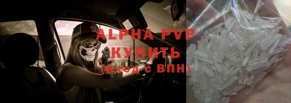 ешки Новозыбков
