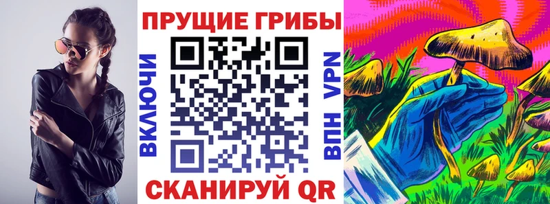Галлюциногенные грибы Psilocybine cubensis  Мамадыш 